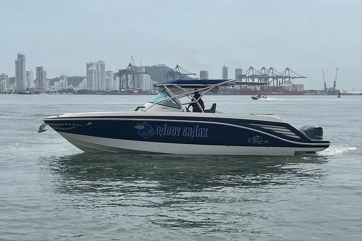 Yate Daddy Shark - Image 13