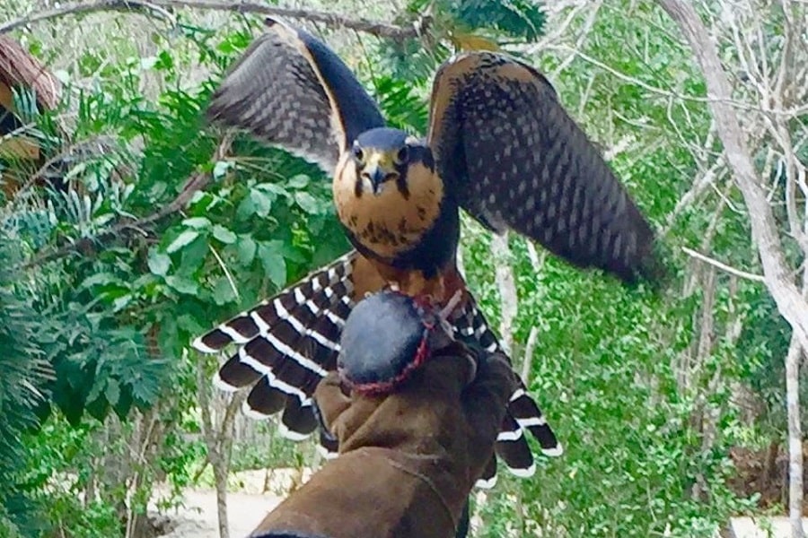 Aviario Nacional + Playa Baru - Image 9