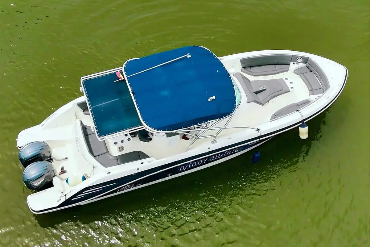 Yate Daddy Shark - Image 5