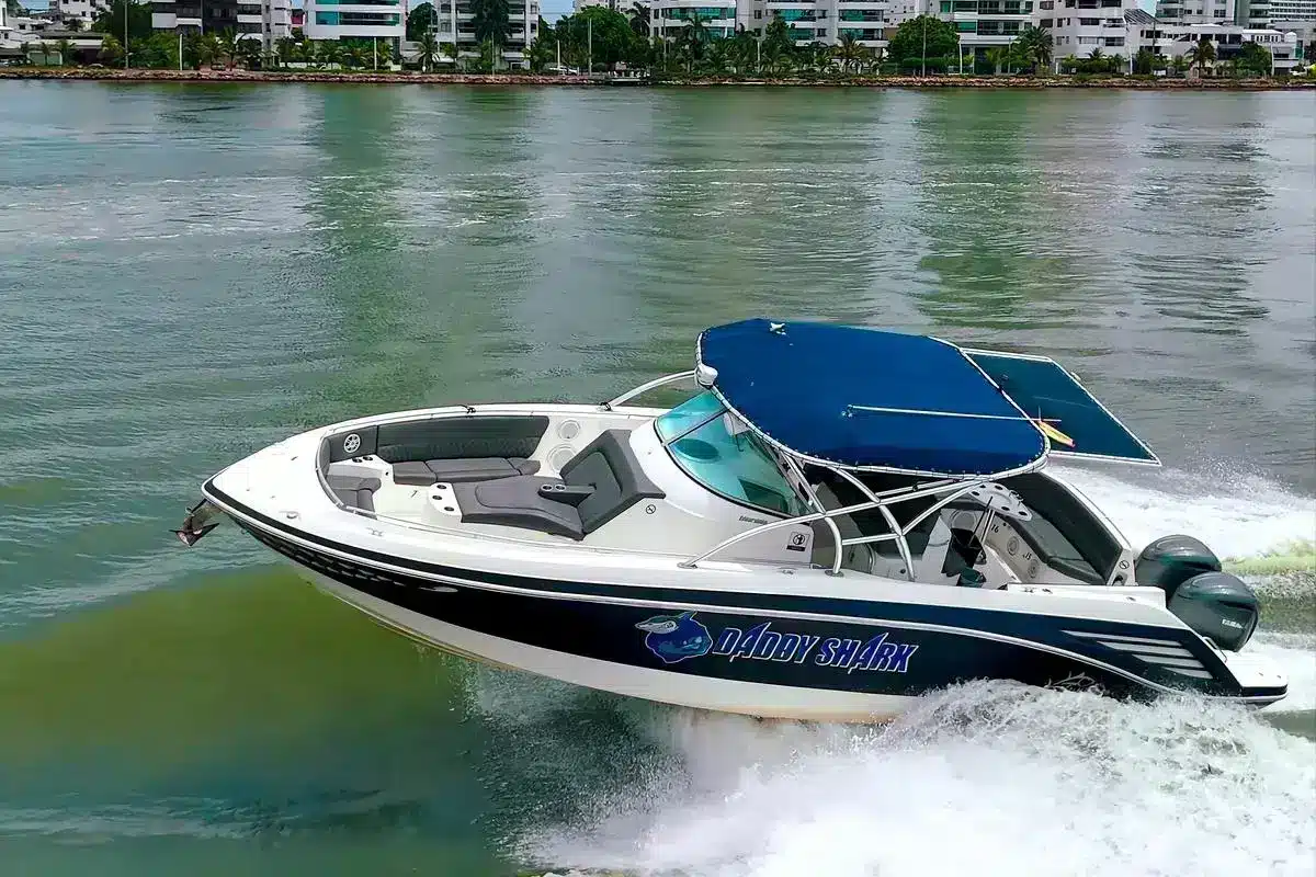 Yate Daddy Shark - Image 6