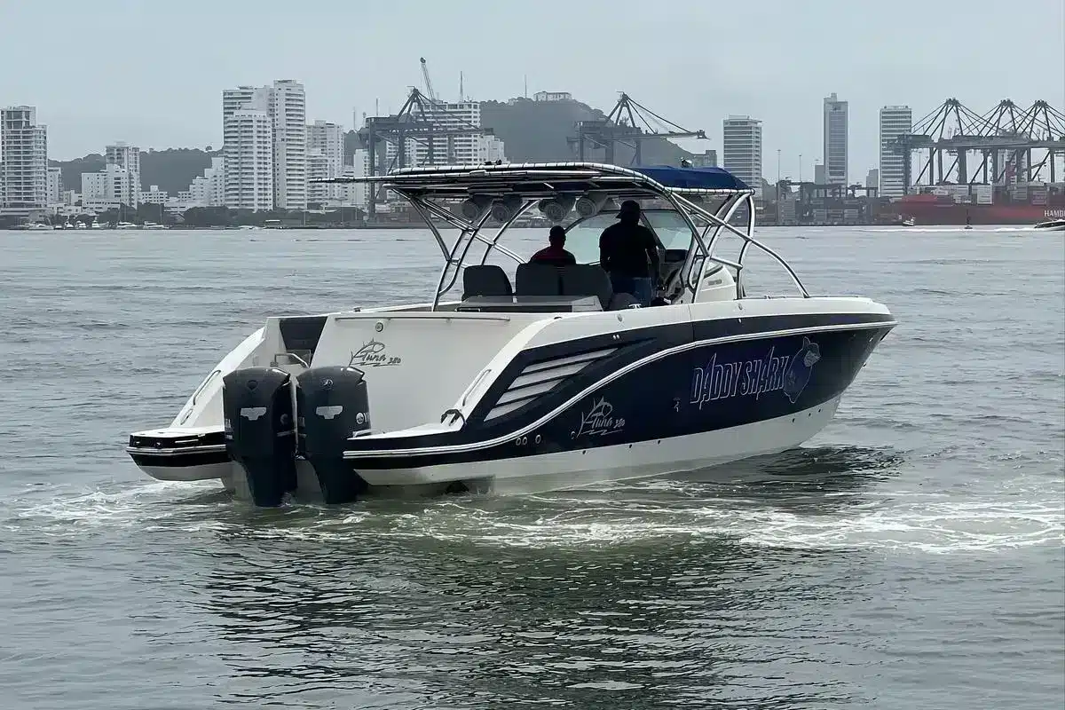 Yate Daddy Shark - Image 2