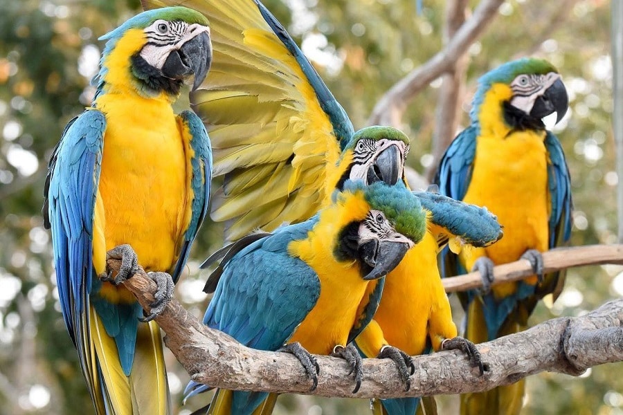 Aviario Nacional + Playa Baru - Image 12